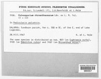 Image Associated With the Occurence